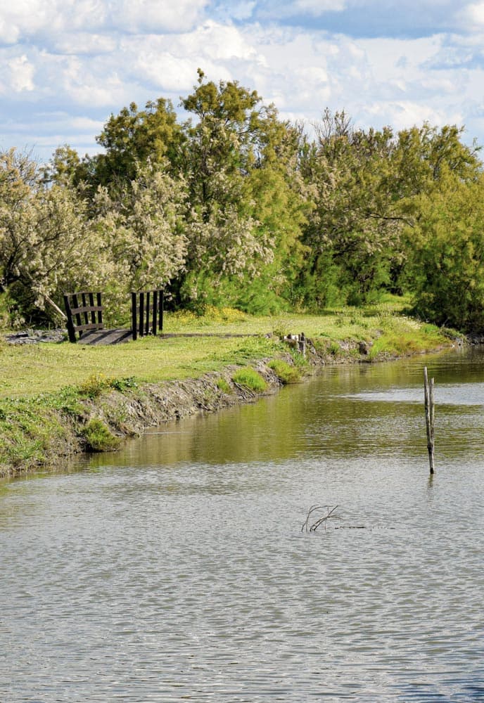 Image Column Section Image 2